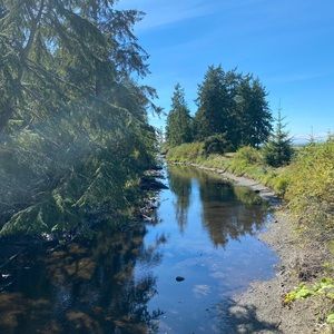 Meet your Posher, Zaria